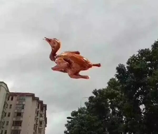 “天鴿”登陸了又怎樣，智彤印刷正常發(fā)放福利！