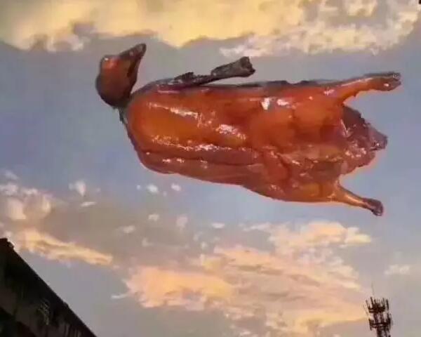 “天鴿”登陸了又怎樣，智彤印刷正常發(fā)放福利！