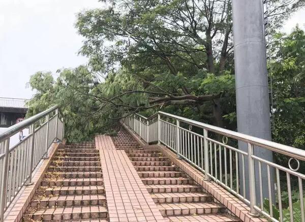 “天鴿”登陸了又怎樣，智彤印刷正常發(fā)放福利！