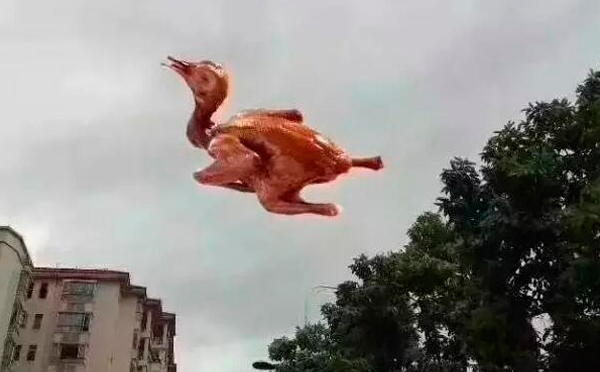 “天鴿”登陸了又怎樣，智彤印刷正常發(fā)放福利！